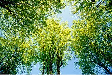 《自杀小队》之前Rocksteady曾开发一个原创多人游戏